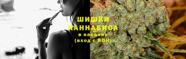 экстази Богданович
