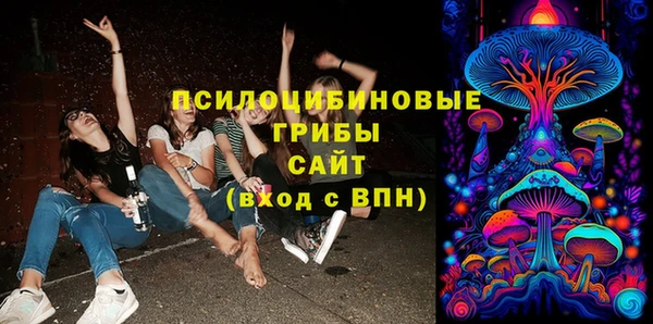марки lsd Богородицк