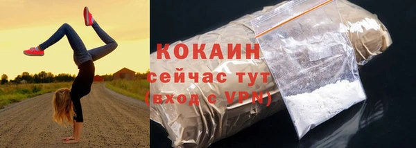 mdpv Богородск