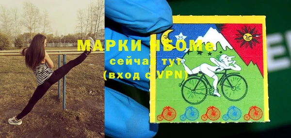 mdpv Богородск