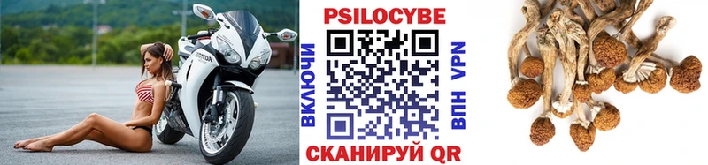 ссылка на мегу зеркало  Минеральные Воды  Псилоцибиновые грибы Psilocybe 